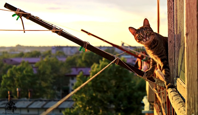 Je balkon leuk inrichten: persoonlijke touches voor een uitnodigend balkon